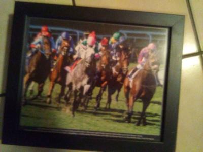 set of 6 2016 Santa Anita horse race photos - Thumbnail 3