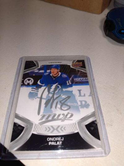 ondej palsy upper Deck MVP autograph card