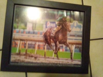 set of 6 2016 Santa Anita horse race photos - Thumbnail 5