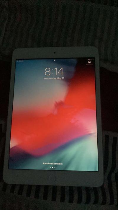 iPad mini 2