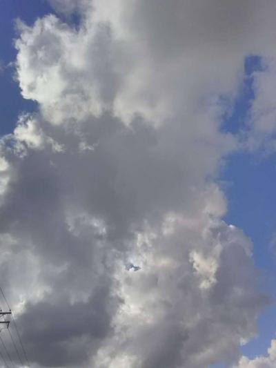 pictures for sell - Thumbnail 5