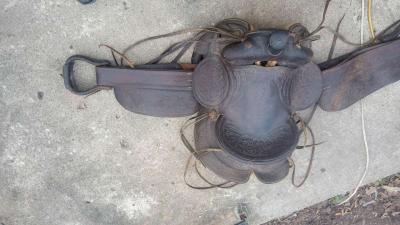 Saddle - Thumbnail 2