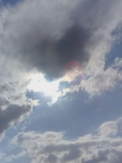 pictures for sell - Thumbnail 2