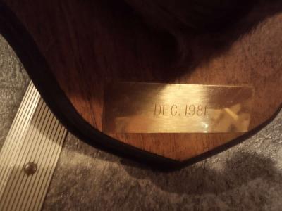 1981 Mounted White tail Deer - Thumbnail 2