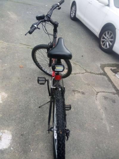 Trek Mountain Bike