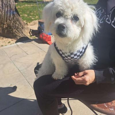 porq me movere - Thumbnail 4