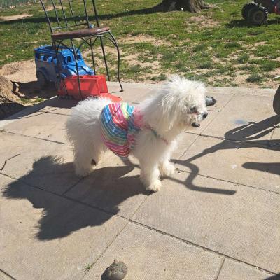 porq me movere - Thumbnail 3