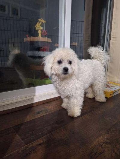 porq me movere - Fredericksburg, Virginia