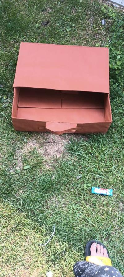 Carry on Luggage - Thumbnail 2