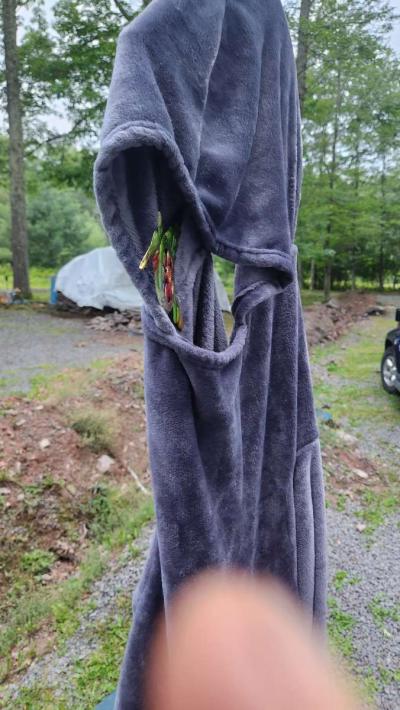 Reverse Hoodie - Thumbnail 6