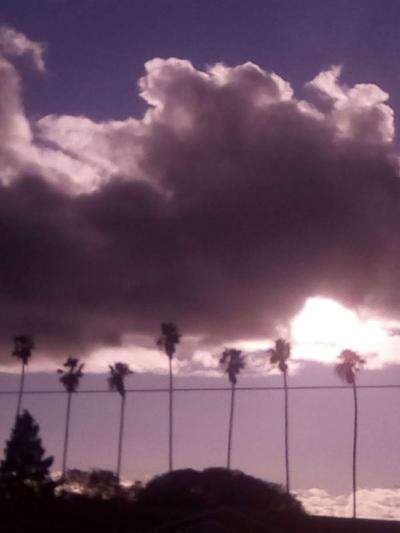 pictures for sell - Thumbnail 4