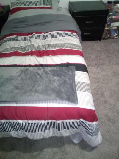 twin metal frame that folds up twin and full mattresses - Thumbnail 2