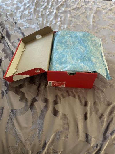 Nike Dunk Low Retro - San Diego, California