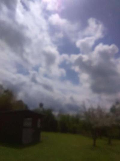 pictures for sell - Thumbnail 6