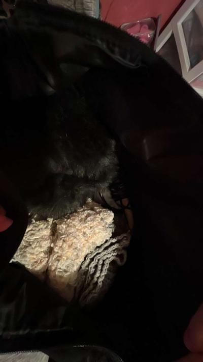 bundle of make up scarfs and socks also hats - Thumbnail 5