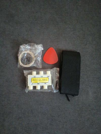 Pink Guitars - Thumbnail 5