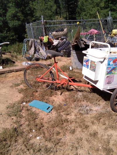 my ice cream bike - Thumbnail 2