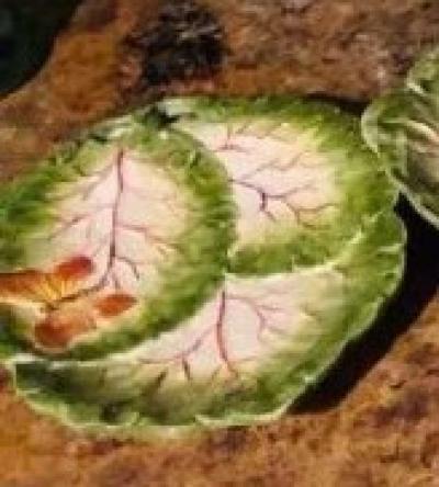 Vietri Italy Spring Leaf Majolica Service Plate - Thumbnail 2