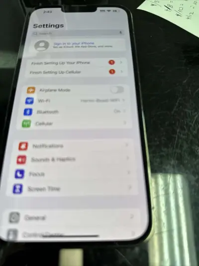 iPhone 13 pro max unlocked