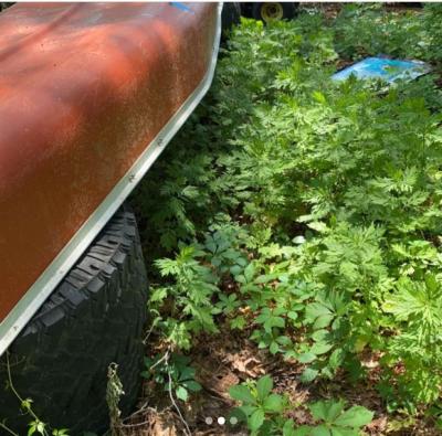 17ft Coleman canoe - Thumbnail 3