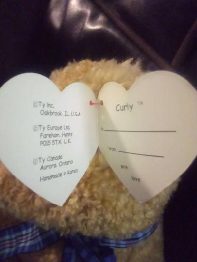 ty curly bear - Thumbnail 2