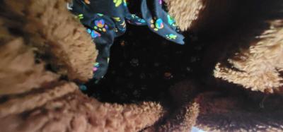 Hoodie Bookbags - Thumbnail 4