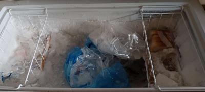 deep freezer - Thumbnail 4