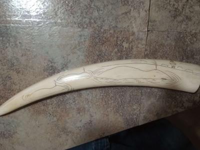 Authentic PreBan Alaskan Inuit Scrimshaw Handicraft Art