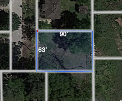 1 lot for sale 63 X 90 in North Houston - Thumbnail 2