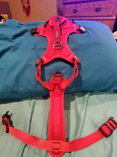 Kong Dog Harness - Thumbnail 2