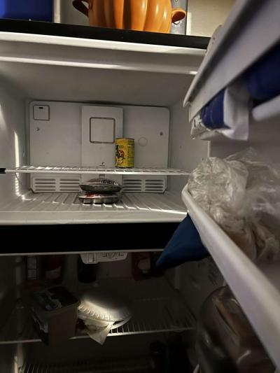 Frigidaire refrigerator