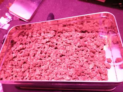 Over Half Pound of Marijuana Gorilla Glue - Thumbnail 5