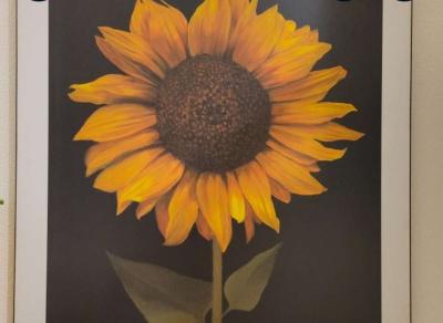 Sunflower painting - Fullerton, California