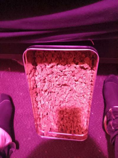 Over Half Pound of Marijuana Gorilla Glue - Thumbnail 3