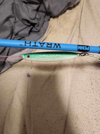 New Penn reel combo need Gone today - Thumbnail 3