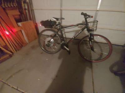 1000watt 48volt trek ebike