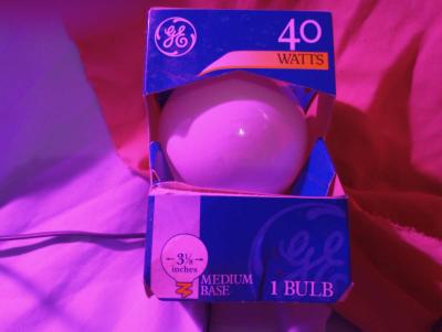 Grow Light for Indoor Plants with Extra 40 watt Bulb - Thumbnail 2