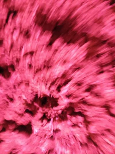 Over Half Pound of Marijuana Gorilla Glue - Thumbnail 2