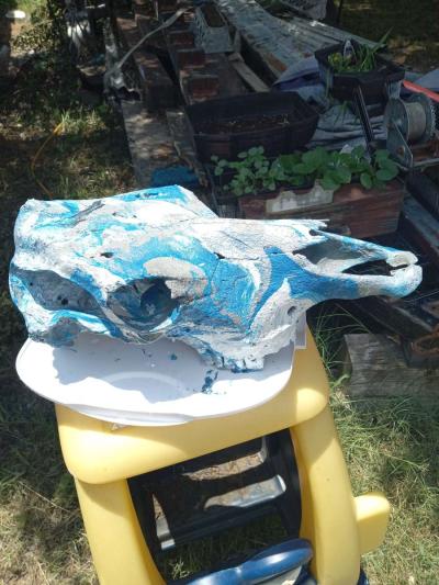 cow skull - Thumbnail 2