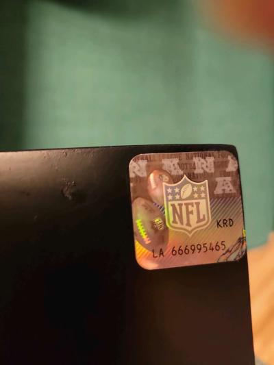 NFL HOUSTON TEXANS SUGAR SKULL STATUE - Thumbnail 6