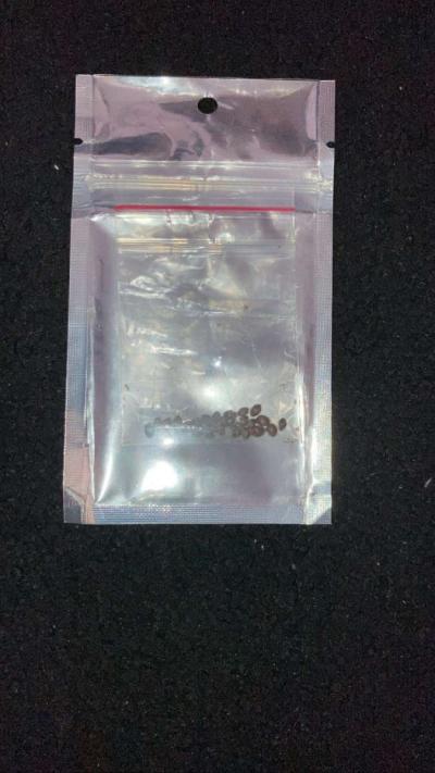 premium seeds - Thumbnail 2