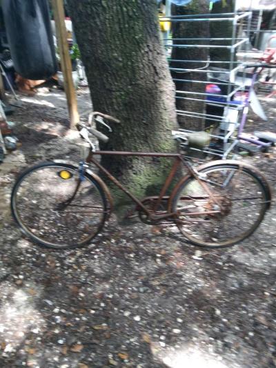 2  1973 Schwinn mens womens worry about that bicycle - Tampa, Florida