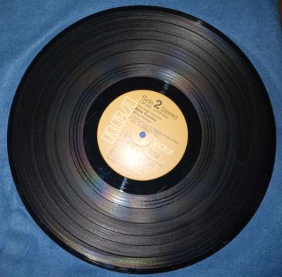 Im Ten thousand years old elvis country vinyl record - Thumbnail 4