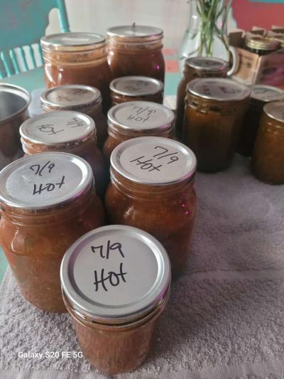 Homemade Salsa - Thumbnail 2