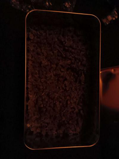 Over Half Pound of Marijuana Gorilla Glue - Thumbnail 6