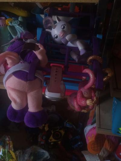 fingerlings 5 dollars  each - Thumbnail 5