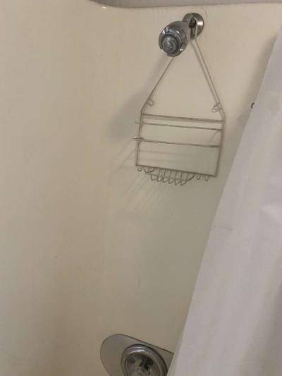 Needing a roommate - Thumbnail 3