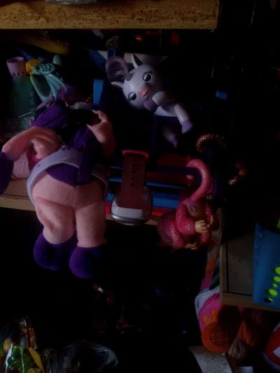 fingerlings 5 dollars  each - Thumbnail 3