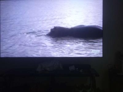 Samsung Tv - Thumbnail 4