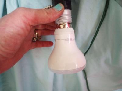 Grow Light for Indoor Plants with Extra 40 watt Bulb - Thumbnail 5